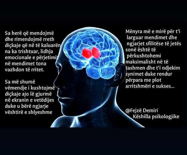 Fejzë Demiri - mendimi