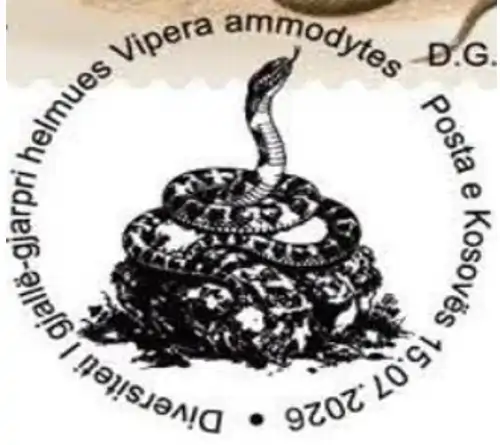 Vula e ditës së parë