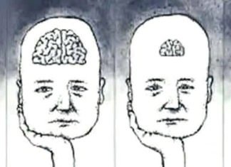 Rënie e nivelit mesatar të inteligjencës së popullsisë së botës Niveli i inteligjencës