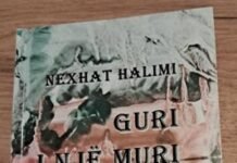 Një vepër që flet me gjuhën e gurit dhe shpirtin e kombit Nexhat Halimi - Guri i një muri
