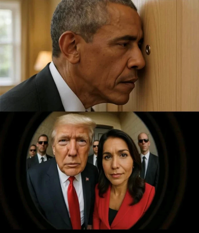 Obama - Trump - Tulsi