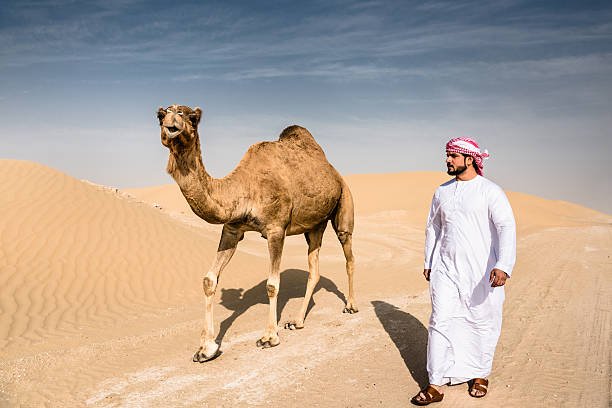 Arabic sheik on the desert walking with the camel Arabic sheik on the desert walking with the camel