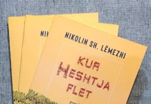 Recension për librin «Kur Heshtja Flet» e autorit Nikolin Sh. Lëmezhi Nikolin Sh. Lëmezhi - Kur heshtja flet
