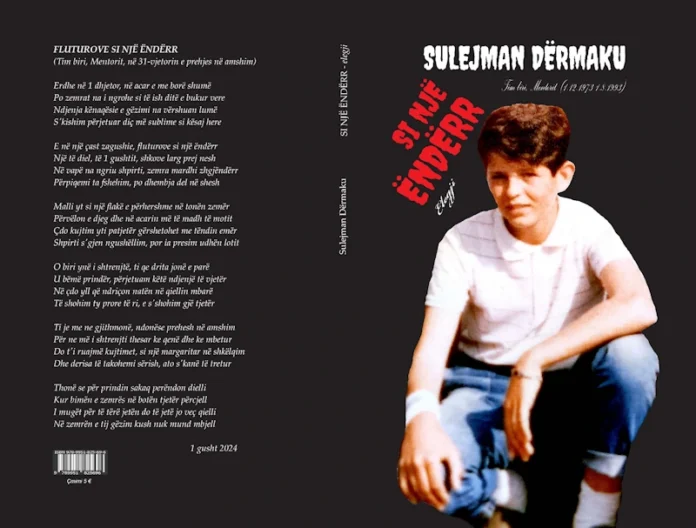 Sulejman Dërmaku - Si nje ëndërr