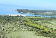 Bunë – histori më vete Pamje nga Buna