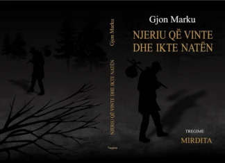 Dimensionet tematike dhe narrative në vëllimin me tregime “Njeriu që vinte dhe ikte natën” Gjon Marku - Njeriu që vinte natën
