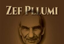 Vepra dhe misioni i Padër Zef Pllumit në librin e Gjon Markut Gjon Marku - Zef Pllumi