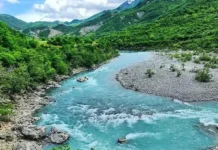 (PU)SHTETI, QEVERISJA DHE QYTETARI lumë