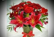 8 Mars 2026 – Gruaja Shqiptare, Forca dhe Krenaria e Kombit Urime 8 marsi