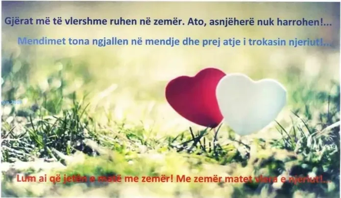 Brahim Ibish Avdyli - thënie