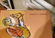 POETIKA E VETMISË DHE ONTOLOGJIA E HUMBJES NË POEZINË “DELIRIUM” TË MIMOZA AHMETIT Mimoza Ahmeti - Delirium