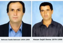 BREGU I PËRDIELLUR Behram Behrami - Hasan Dema