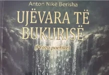 PROZA POETIKE SI MEDITIM MBI FJALËN, DRITËN DHE HIJESHINË E QENIES Anton Nikë Berisha - Ujvara të bukurisë