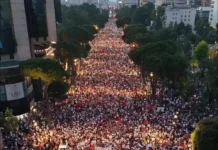 Protesta për Dinjitetin, Tokën dhe Shtetin e së Drejtës Revolucioni i flamingove