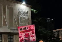Vajza që u bë fytyra dhe zëri i protestës Sidorela - vajza e protestës