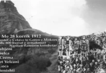 “Guri i Kamjes” – simbol i Krahinës së Gorës Çetat e Gorës