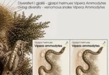 Filatelia e Kosovës – konsistente në promovimin e ruajtjes biodiversitetit Filatelia e Kosovës dhe biodiversiteti
