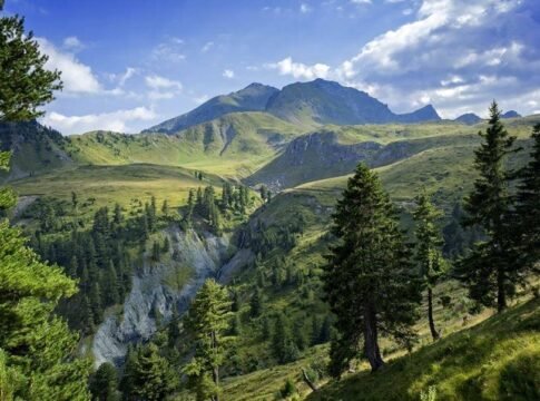 Mirdita