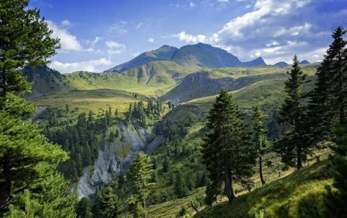 Mirdita