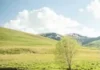 Çfarë parashikon Paketa e Maleve? Pamje malore
