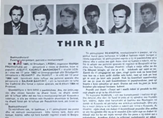ROLI I MËRGATËS SHQIPTARE NË KUJTESËN HISTORIKE TË KOSOVËS (49) Thirrje në mërgim