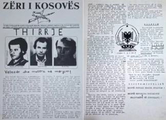 ROLI I MËRGATËS SHQIPTARE NË KUJTESËN HISTORIKE TË KOSOVËS (48) Zëri i Kosovës - thirrje