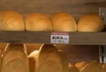 KUSH E KONTROLLON BUKËN QË HAMË NË REPUBLIKËN E KOSOVËS? Buka