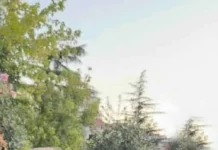 Fuksat e pushtetit, ata spiunët, agjentët e fshehtë, që hanë bukë në bythë të pushtetit… Fuksi