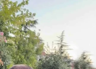 Fuksat e pushtetit, ata spiunët, agjentët e fshehtë, që hanë bukë në bythë të pushtetit… Fuksi