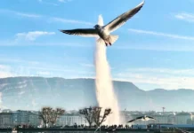 Gjenevë — Tempull i Paqes dhe Humanizmit Geneva