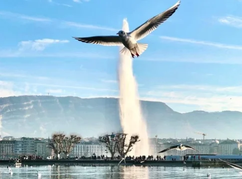 Geneva
