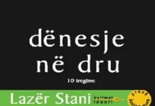 LULET E ADRIANËS Lazer Stani - Dënesje në dru