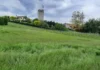 Shëtitje në tokën ku ndershmëria është zakon Meinier
