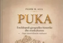 THEMELE TË FORTA MBI TË CILAT MUND TË NGRIHET NJË KALA E QËNDRUESHME Pashk Alia - Puka