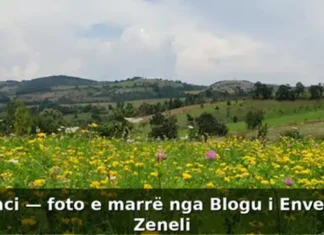 PËRPELLAC I LASHTËSISË Përpellaci