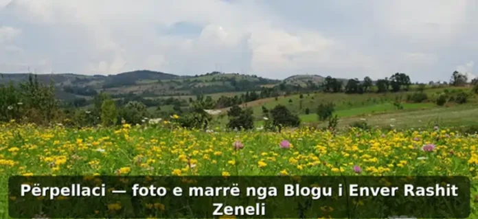 Përpellaci