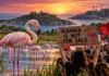 FILATELIA NUK MUND TË QËNDROJË JASHTË REALITETIT SHQIPTAR