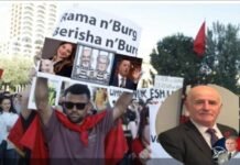Gjeneral ® Piro Ahmetaj: “Pro revoltës popullore, kundër kaosit për kërmat politike” ! Gjen. Ahmetaj - Protesta
