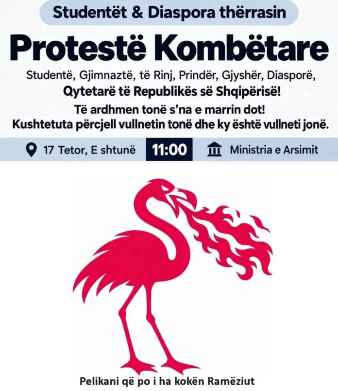 Pelikani që po i ha kokën Ramëziut